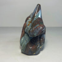 Ocean Jasper Lizard